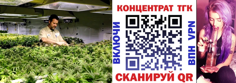 darknet телеграм  закладка  Курганинск  ТГК THC oil 