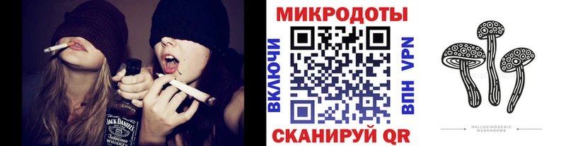 kraken онион  где купить наркоту  Курганинск  маркетплейс официальный сайт  Псилоцибиновые грибы Magic Shrooms 